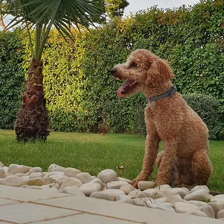 ヴィラ Oasi Della Pace