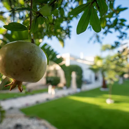 Oasi Della Pace ビシェーリエ