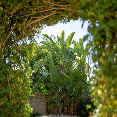 Oasi Della Pace Villa Bisceglie